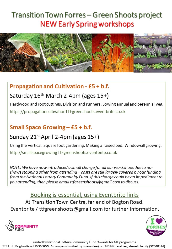 New Green Shoots workshops
